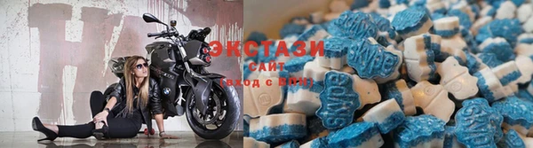 PSILOCYBIN Вязьма