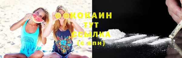 PSILOCYBIN Вязьма