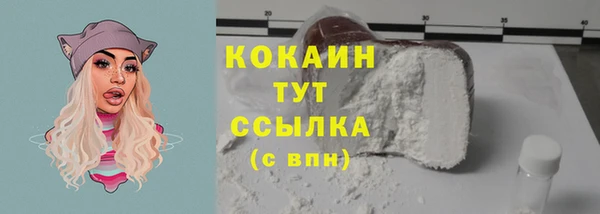 PSILOCYBIN Вязьма