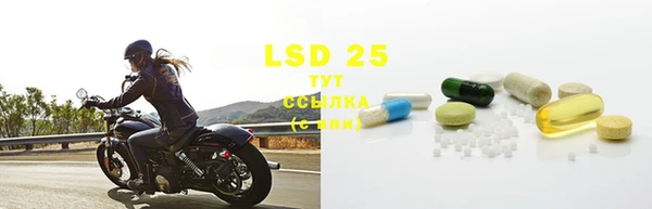 PSILOCYBIN Вязьма