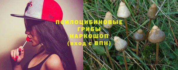 PSILOCYBIN Вязьма