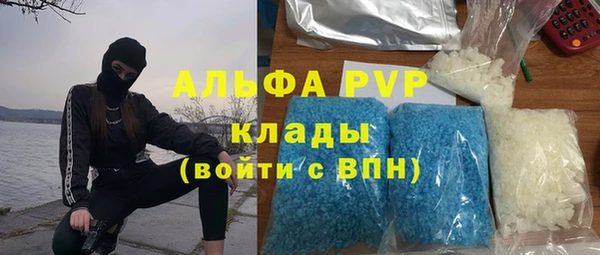 PSILOCYBIN Вязьма