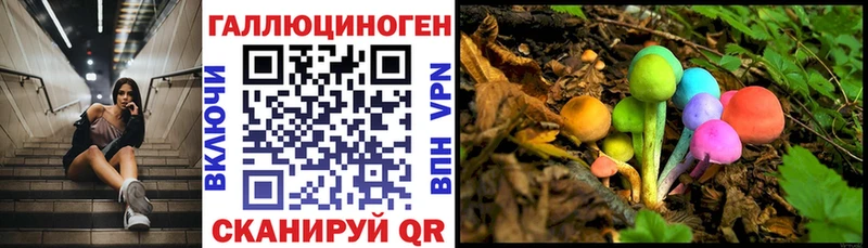 даркнет сайт  Пласт  Галлюциногенные грибы Cubensis 